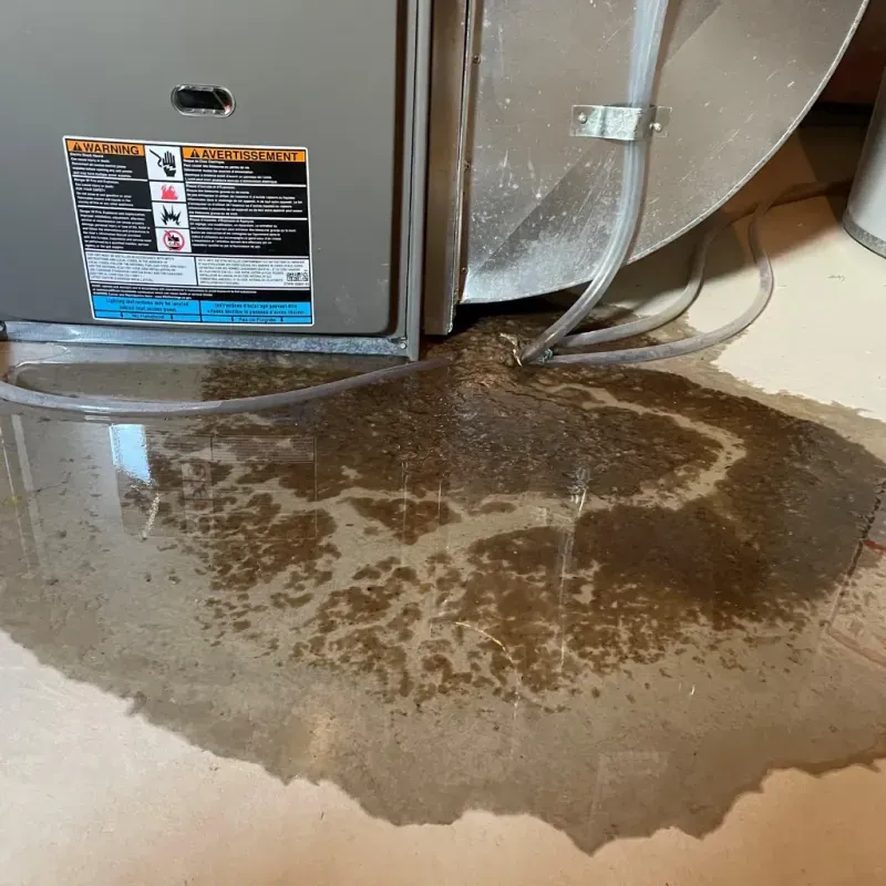 Appliance Leak Cleanup in Wrightsville, AR